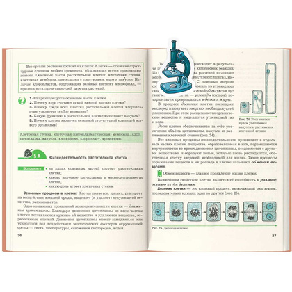 Закладка для книг "Естественные науки", 30x50 мм, 80 шт, разноцветный - 6