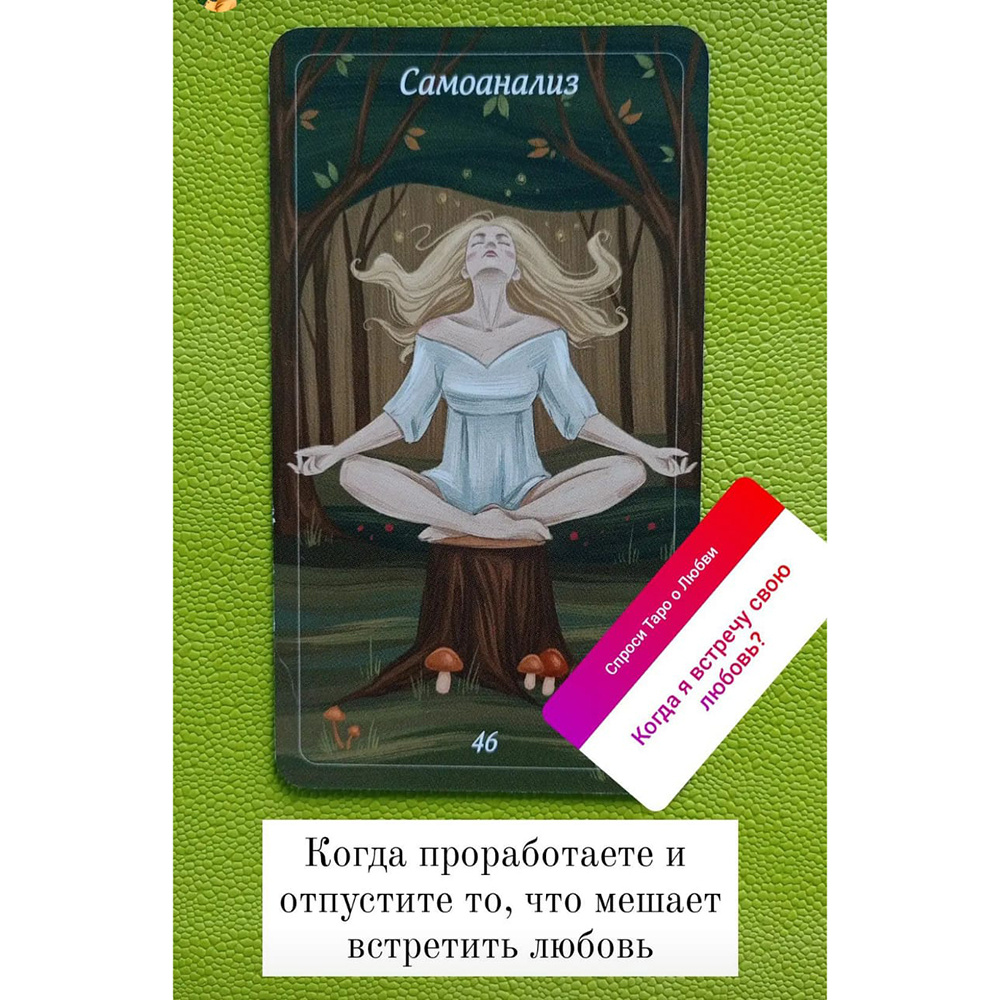 Карты "Лес Любви. Колода-оракул для сердечных вопросов (50 карт и руководство для гадания в подарочном футляре)", Вероника Темная - 5