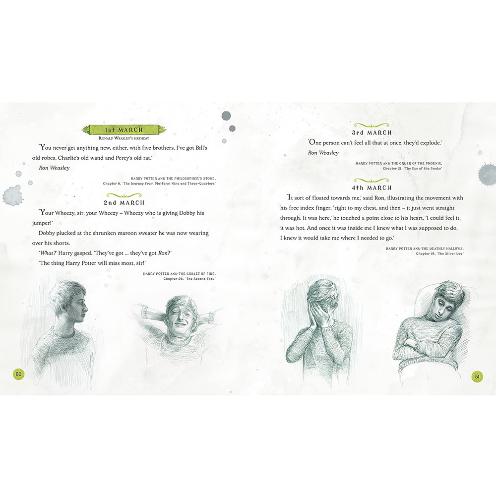 Книга на английском языке "Harry Potter – A Magical Year: The Illustrations of Jim Kay", Jim Kay - 9
