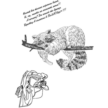 Книга "Эти милые еноты" - 4