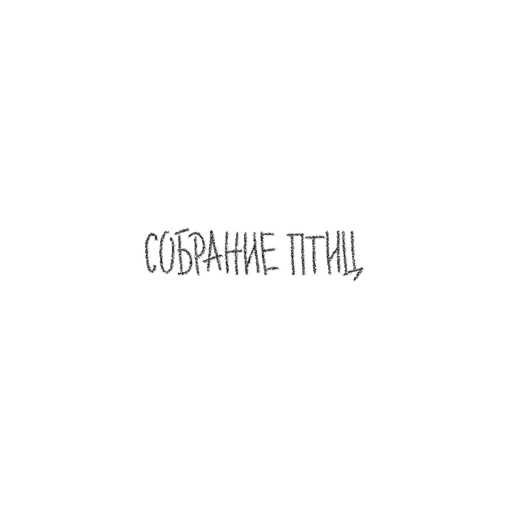Книга "Собрание птиц", Ренсом Риггз - 5
