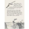 Книга "Русалочка. Проклятие морских ведьм. Новые приключения Ариэль" - 8