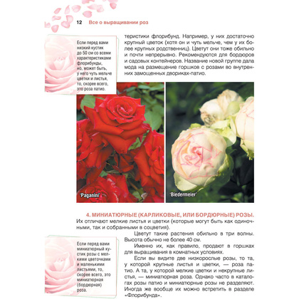 Книга "Сад любимых цветов с Ларисой Кочелаевой", Лариса Кочелаева - 11