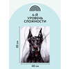 Картина по номерам "Доберман" - 4
