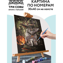 Картина по номерам "Заколдованный котик"