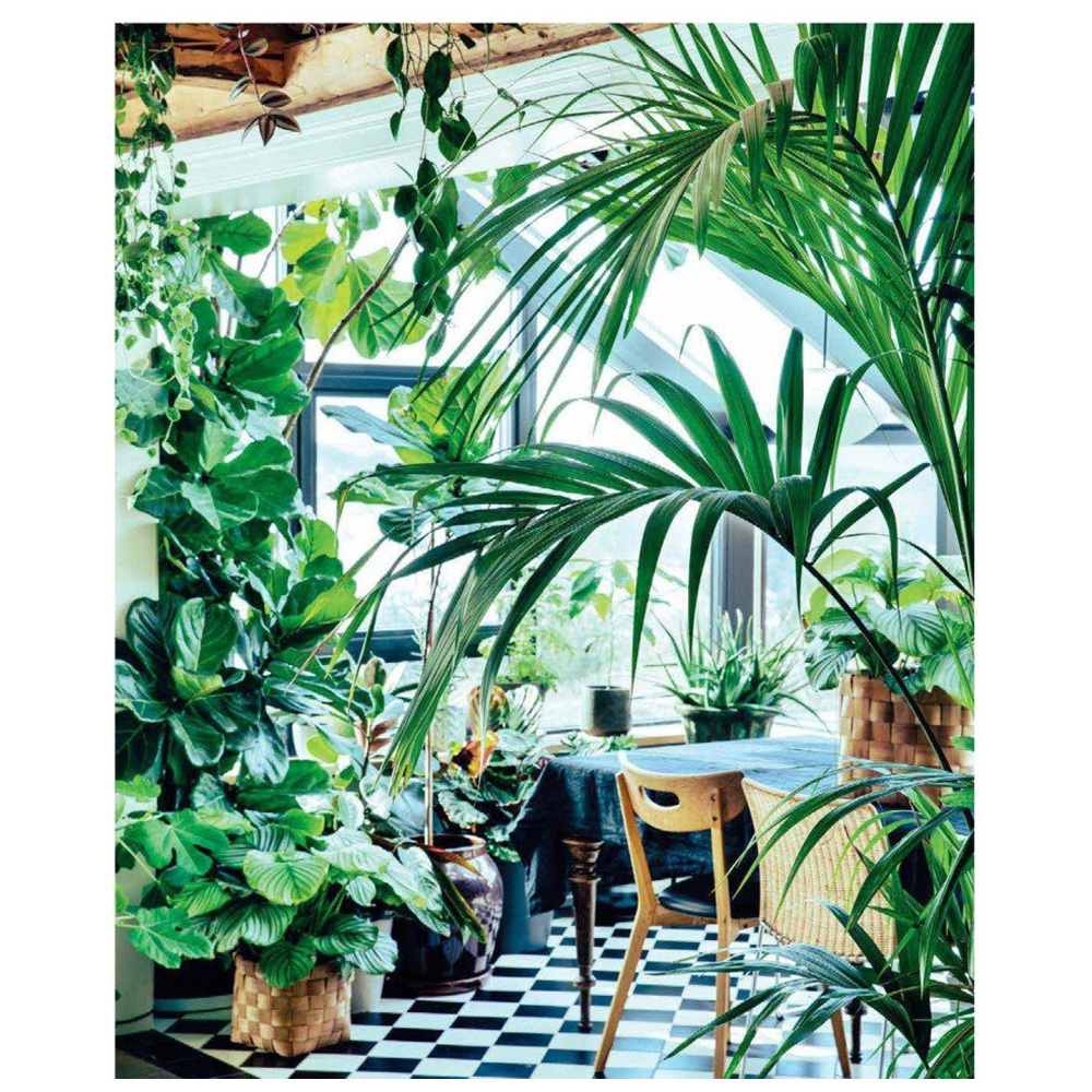 Книга "Urban Jungle. С любовью к растениям", Андерс Рёйнеберг, Эрик Шервен - 4