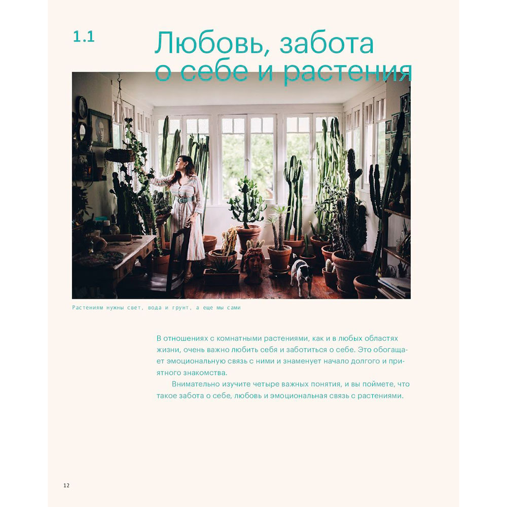 Книга "Окей, джунгли! Счастливая жизнь с растениями", Игорь Йосифович, Джудит де Граф - 4