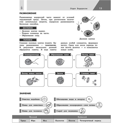 Книга "Биология в инфографике", Оксана Мазур - 12