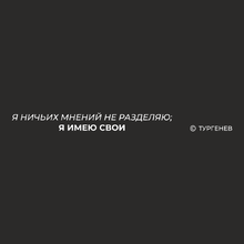 Ручка шариковая автоматическая "Я ничьих мнений не разделяю, я имею свои. Тургенев", 1.0 мм, черный, стерж. синий
