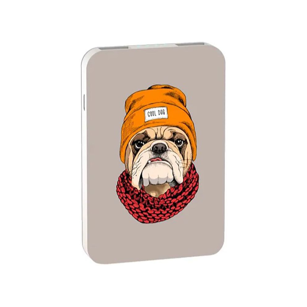 Внешний аккумулятор "Ritmix RPB-10007 BULLDOG", 10000 мА·ч - 2