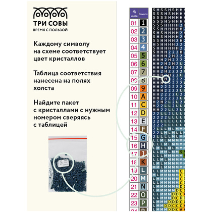 Алмазная мозаика-вышивка "Букет с маками" - 5