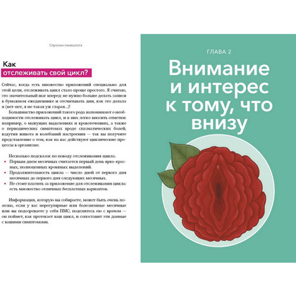 Книга "Спросим гинеколога. Все, что вы хотели знать о месячных, сексе, предохранении и беременности", Дженнифер Линкольн - 9