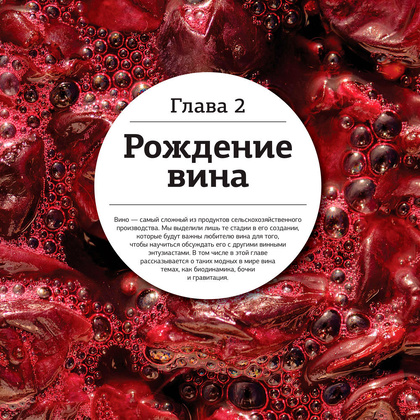 Книга "Просто о лучших винах. Новая энциклопедия" - 24