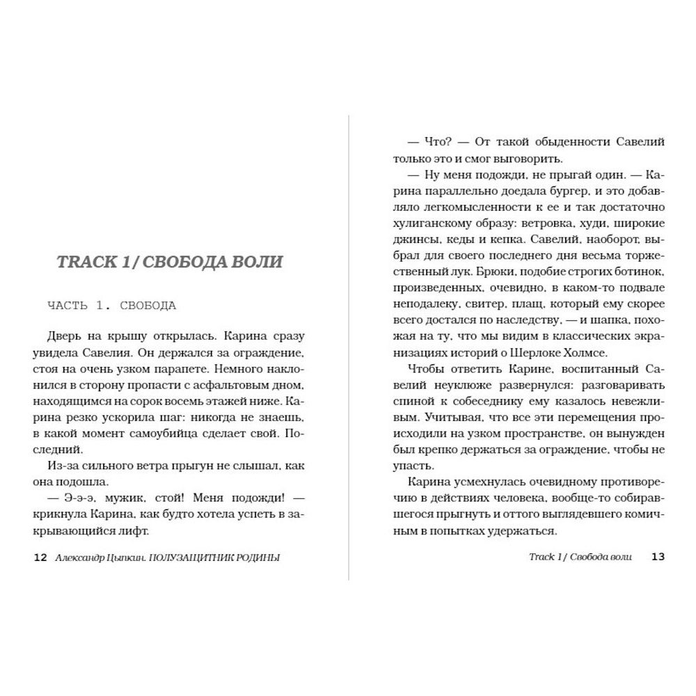 Книга "Полузащитник Родины", Александр Цыпкин - 5