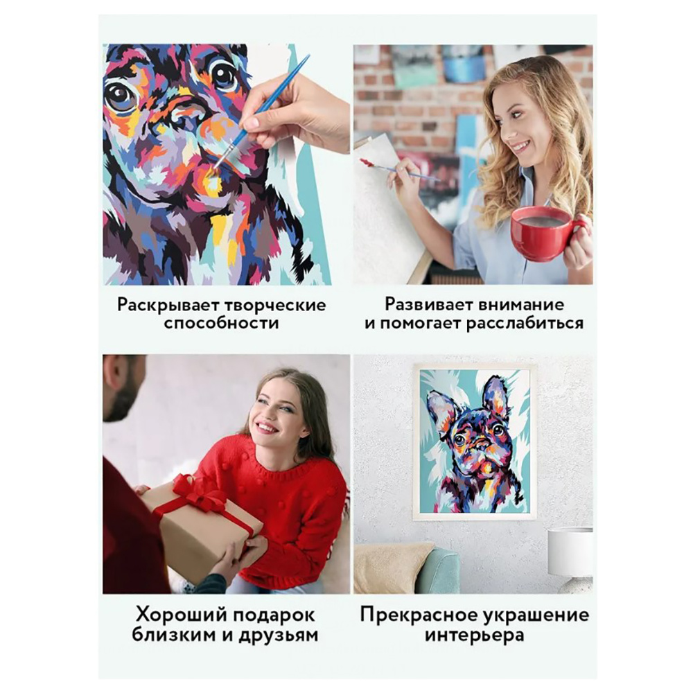 Картина по номерам "Яркий французский бульдог" - 6