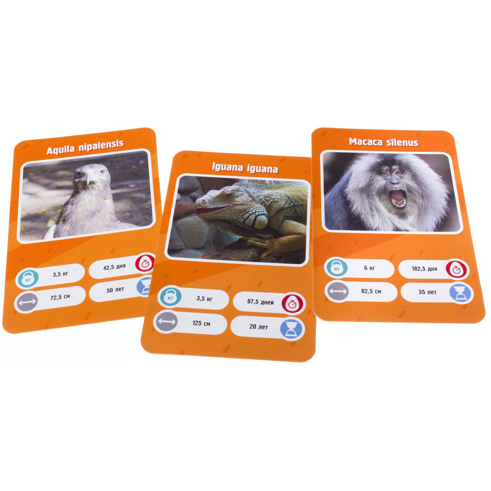 Игра настольная "Это факт! Зоопарк" - 5