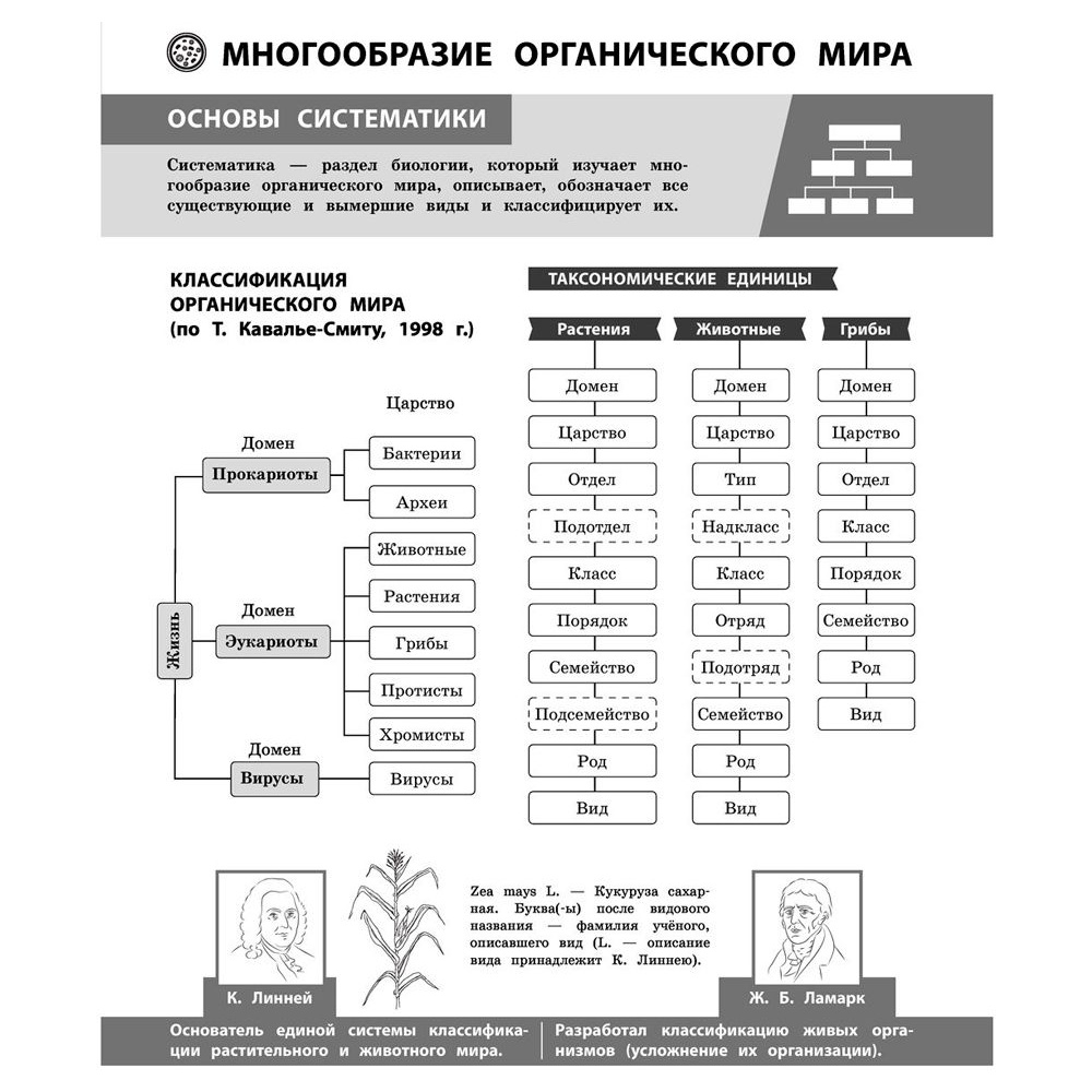 Книга "Биология в инфографике", Оксана Мазур - 4