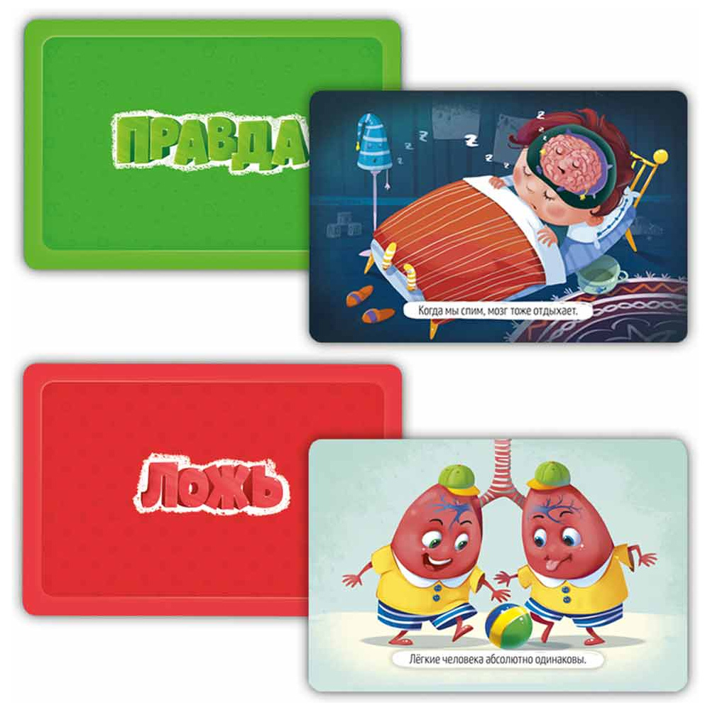Игра настольная "Правда-ложь. Тело человека" - 3