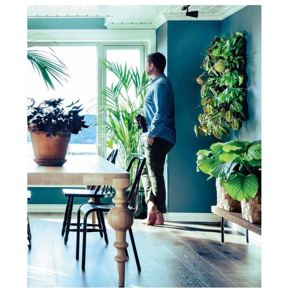 Книга "Urban Jungle. С любовью к растениям", Андерс Рёйнеберг, Эрик Шервен - 11