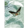 Блокнот "Jungle harmony", A5, 32 листа, линейка, ассорти 1 - 3