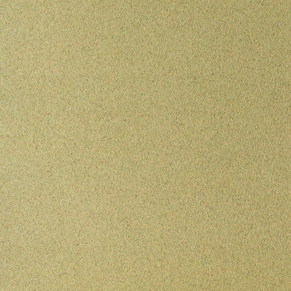 Бумага для пастели "Pastel Card", 50x65 см, 360 г/м2, светло-зеленый