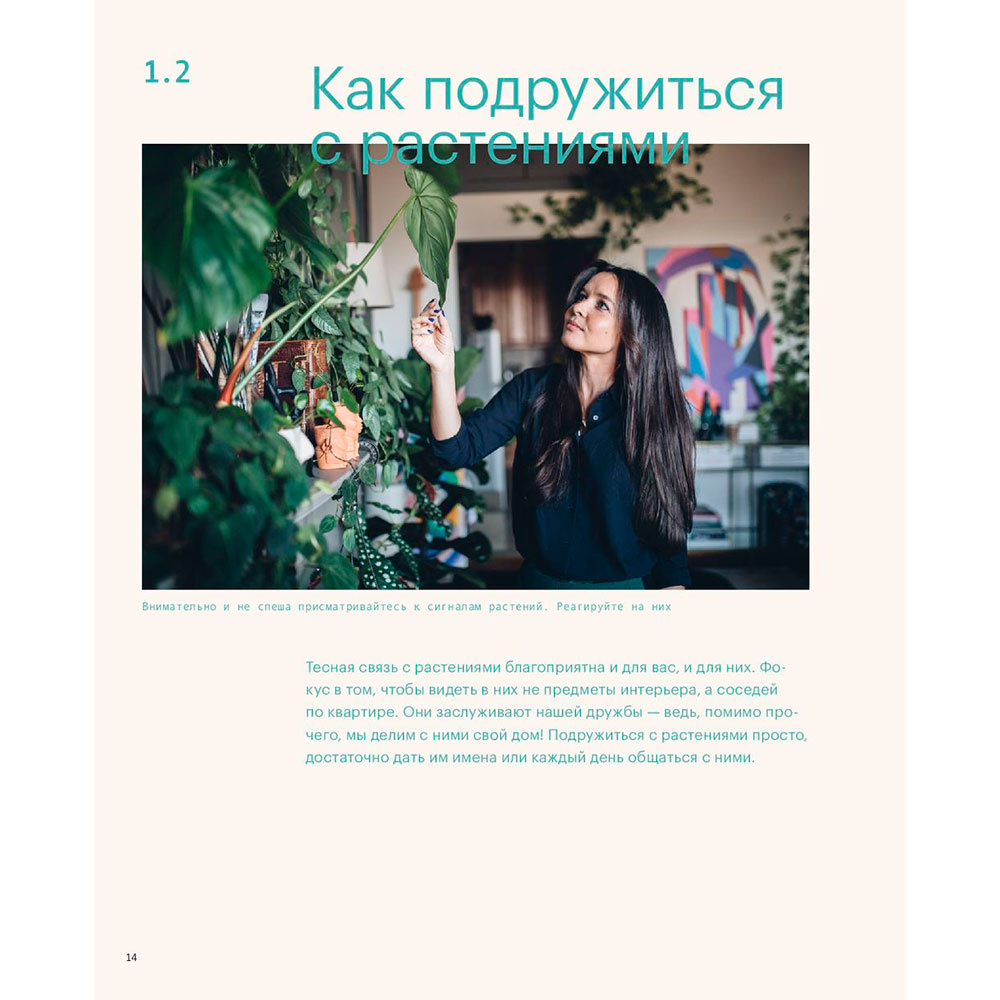Книга "Окей, джунгли! Счастливая жизнь с растениями", Игорь Йосифович, Джудит де Граф - 6