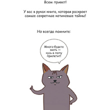 Книга "Лакшери-Котакшери. Смешные комиксы из жизни котиков и их человеков", Лена Соломонова