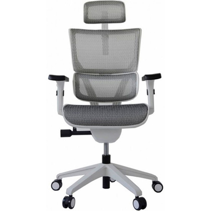 Кресло для руководителя "Ergostyle Vision White", серый - 2