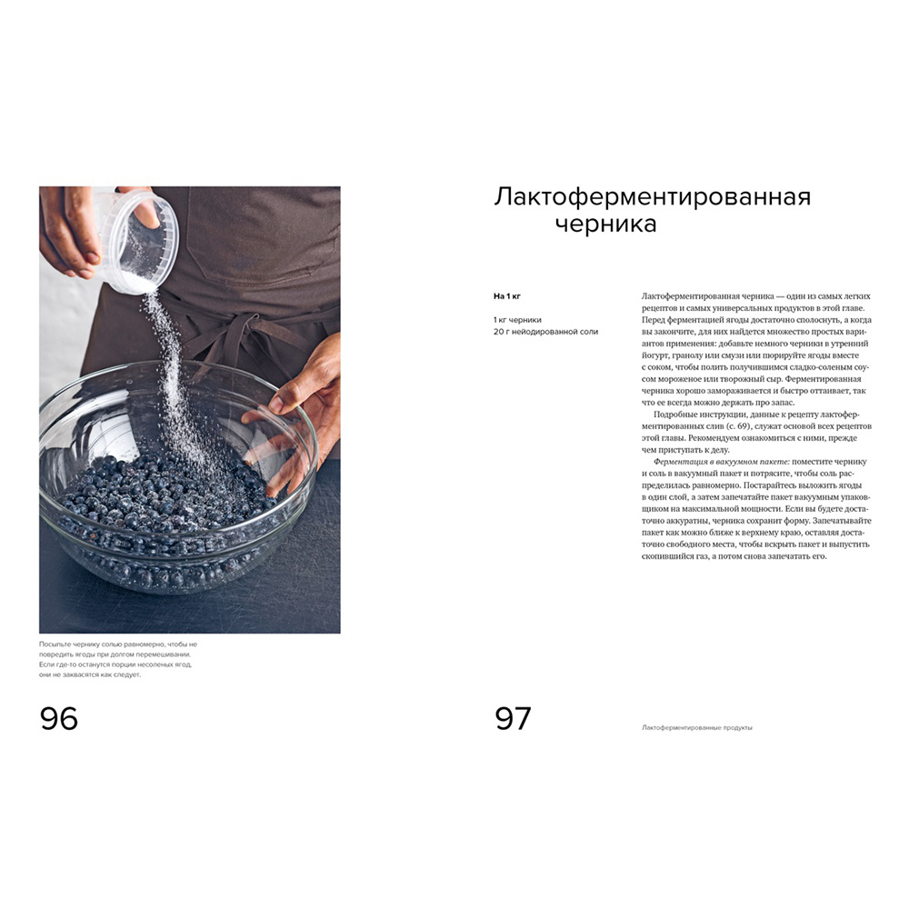 Книга "Гид по ферментации от Noma", Рене Редзепи, Дэвид Зильбер - 7