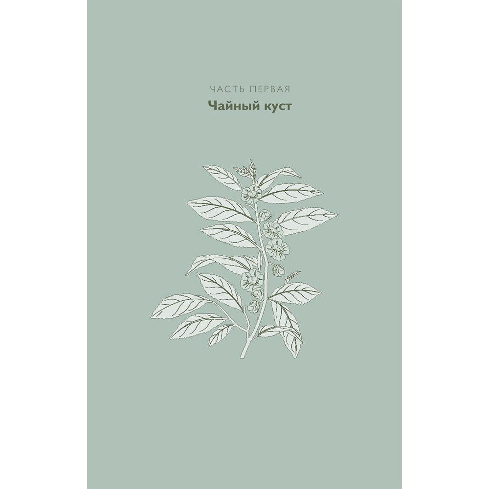 Книга "Идеальный чай. Наука и искусство приготовления", Лонг К., Китинг Б. - 10