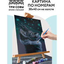 Картина по номерам "Мистический кот"