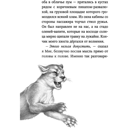 Книга "Караг и волчье испытание (#7)", Катя Брандис - 8