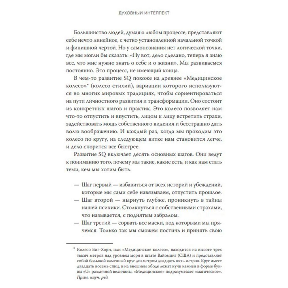 Книга "Духовный интеллект", Джо Боулби - 6