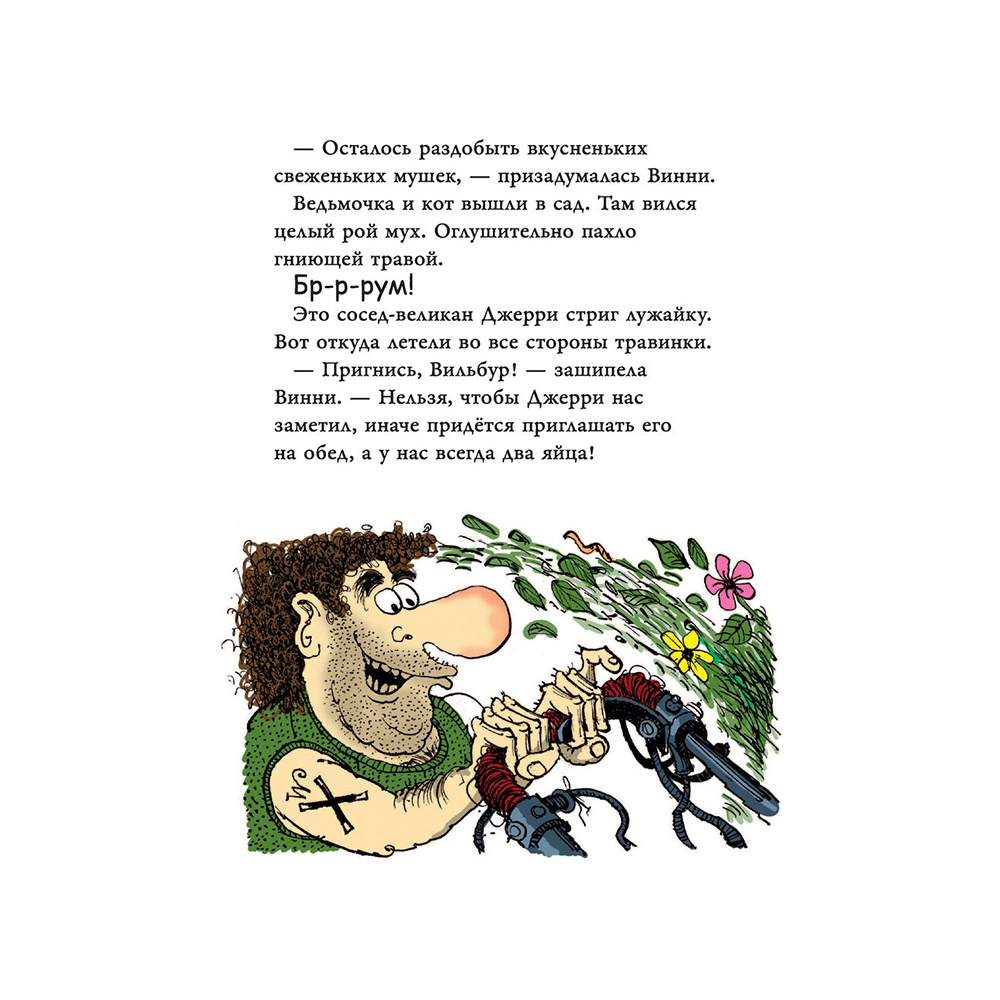 Книга "Ведьмочка Винни и вредная тетушка", Лора Оуэн - 11