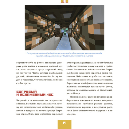 Книга "Minecraft от А до Я. Неофициальная иллюстрированная энциклопедия", Меган Миллер - 9