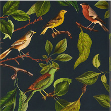 Блокнот "Птицы", 150x150 мм, 70 листов, клетка