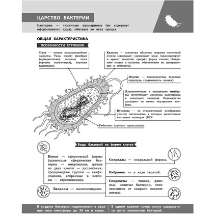 Книга "Биология в инфографике", Оксана Мазур - 5