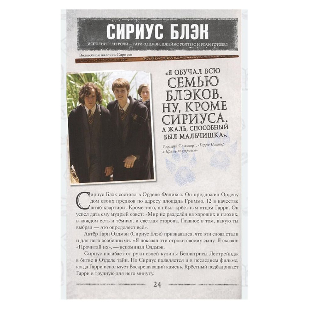 Книга "Гарри Поттер. Битва за Хогвартс (с волшебной палочкой)" - 4