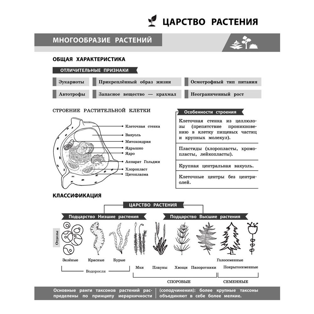Книга "Биология в инфографике", Оксана Мазур - 10