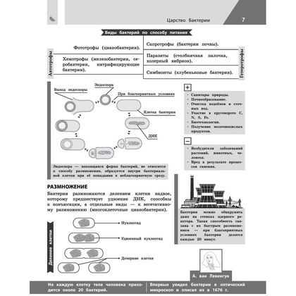 Книга "Биология в инфографике", Оксана Мазур - 6