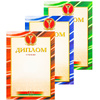 Диплом 2 степени, А4, 250 г/м2 - 4