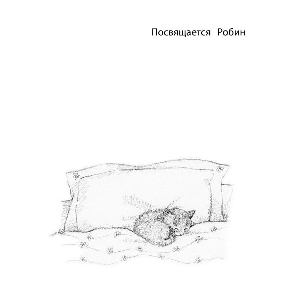 Книга на английском языке "Котёнок Одуванчик, или Игра в прятки = Smudge the Stolen Kitten", Вебб Х - 8