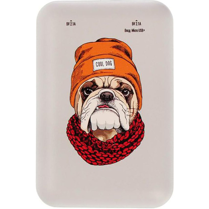 Внешний аккумулятор "Ritmix RPB-10007 BULLDOG", 10000 мА·ч