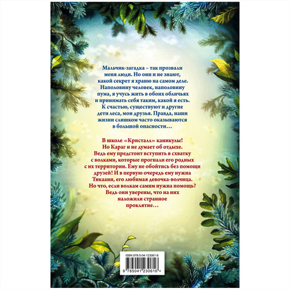 Книга "Караг и волчье испытание (#7)", Катя Брандис - 12