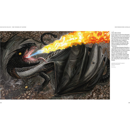 Книга на английском языке "Fantastic Beasts: The Wonder of Nature PB", Rowling J.K.  - 8