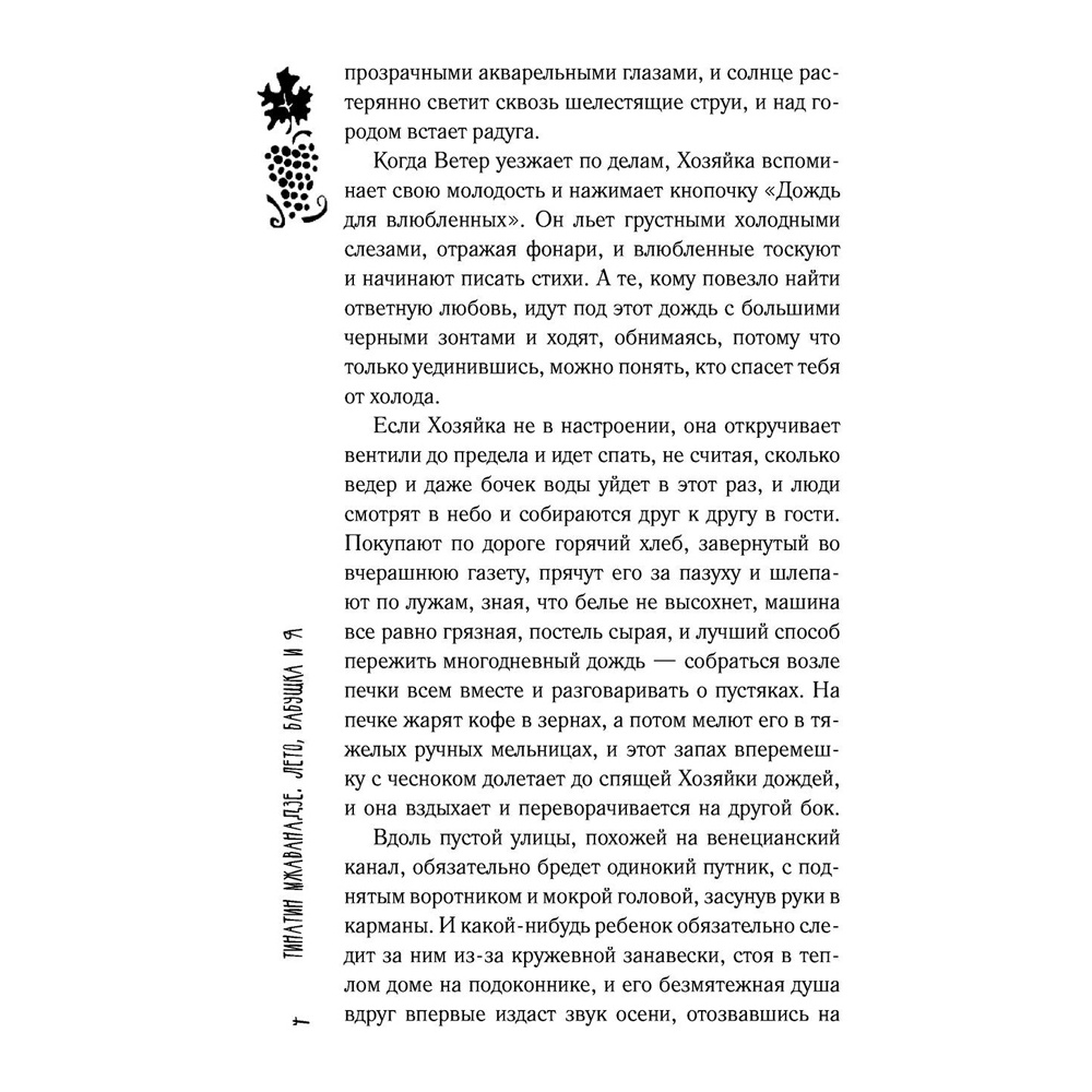Книга "Лето, бабушка и я", Тинатин Мжаванадзе - 4