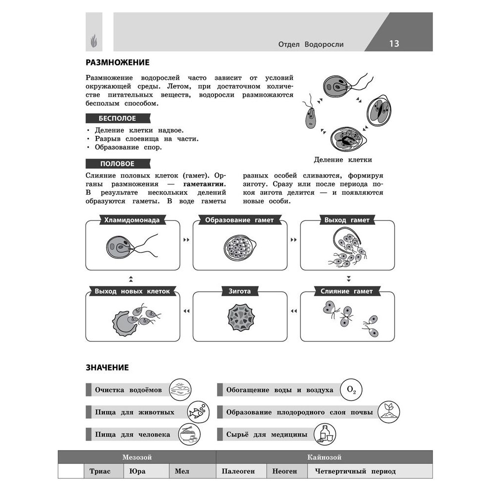 Книга "Биология в инфографике", Оксана Мазур - 12