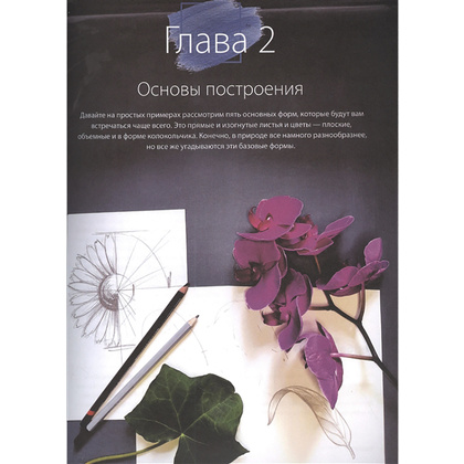 Книга "Пишем пионы, розы и другие цветы акварелью. Пошаговые мастер-классы по живописи", Татьяна Лаптева - 4