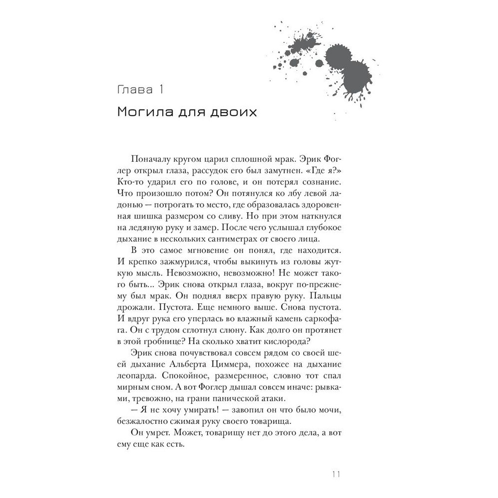 Книга "Эрик Фоглер и проклятие замка Мисти", Беатрис Осес - 4