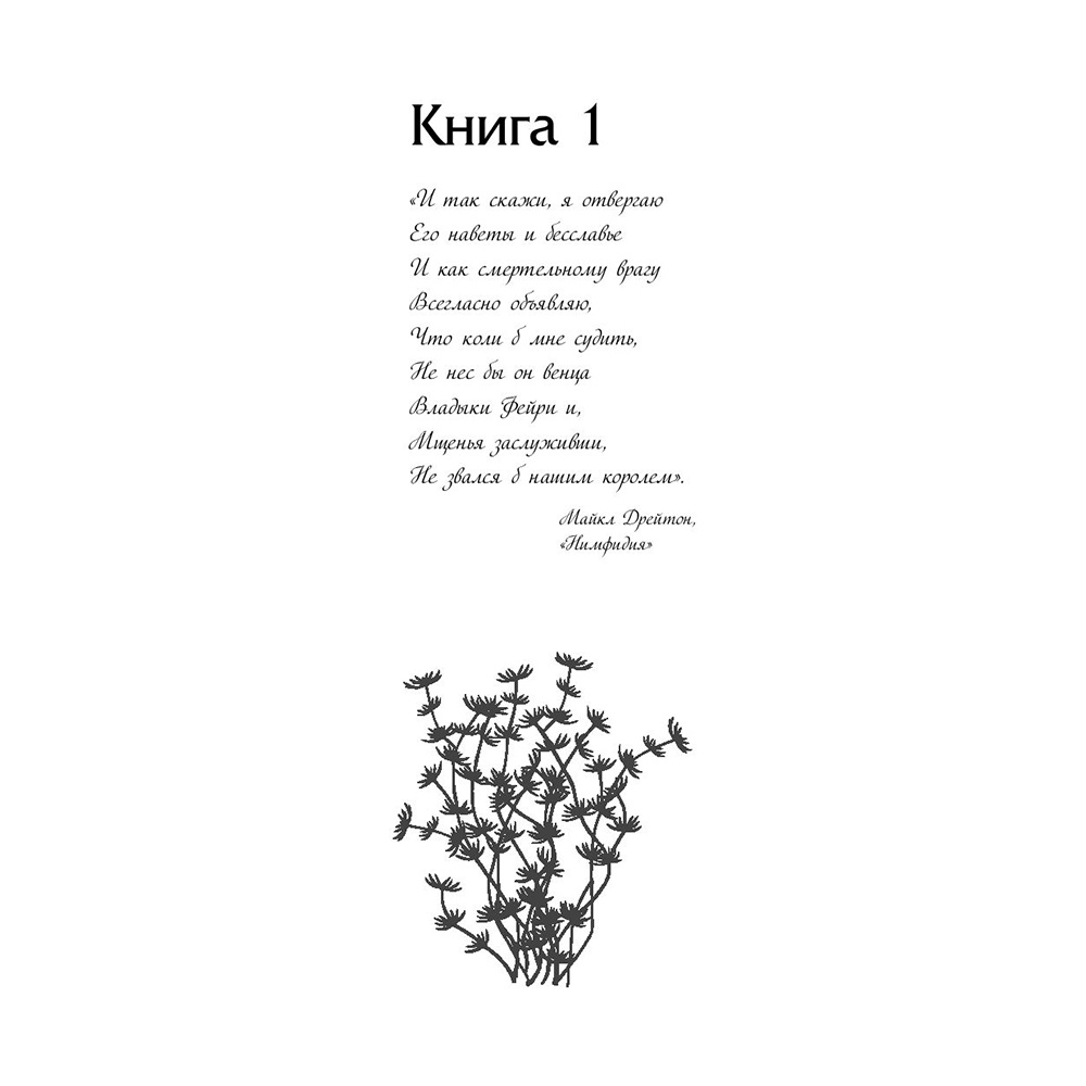 Книга "Воздушный народ. Злой король (#2)", Холли Блэк - 6